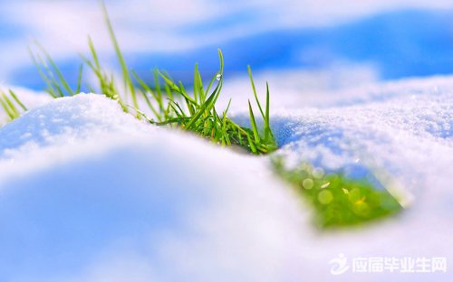 二话不说的成语解析