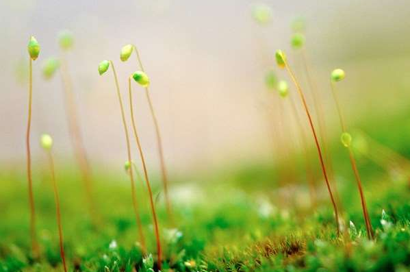 优美的写景散文两篇 优美的写景散文两篇