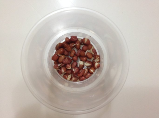 �춹��ѿ�����۲��ռ�