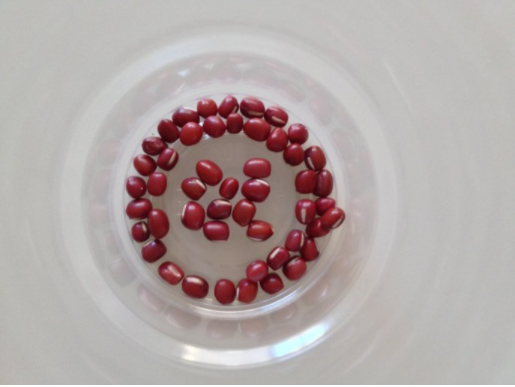 �춹��ѿ�����۲��ռ�