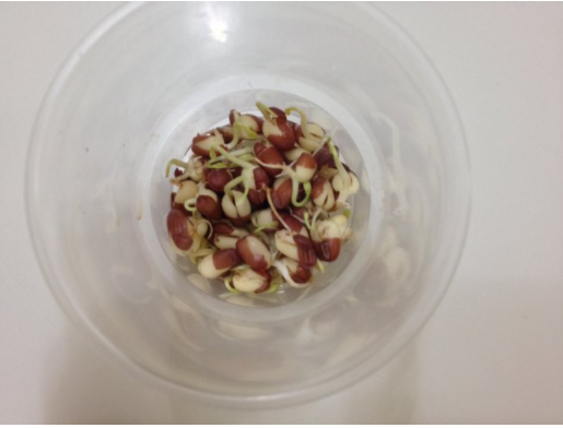 �춹��ѿ�����۲��ռ�