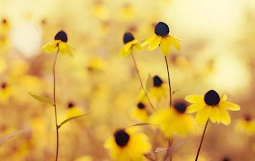 Ů������˵˵�������