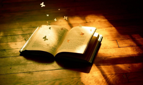 ���˶����������