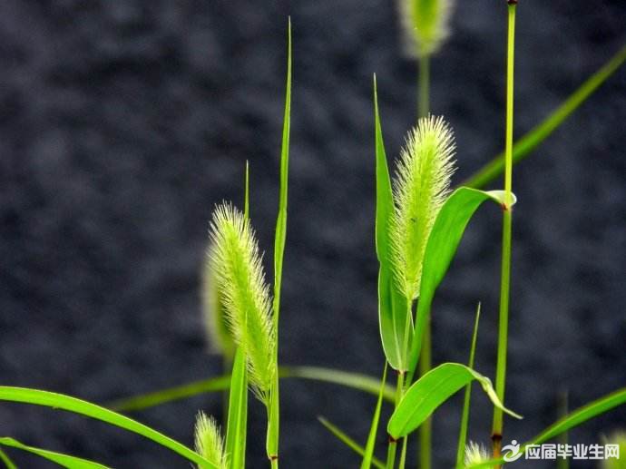 �紵ǽͷ��Ъ����Ĵ�