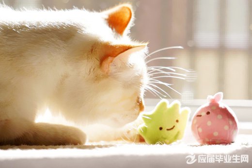 ��������������˵˵