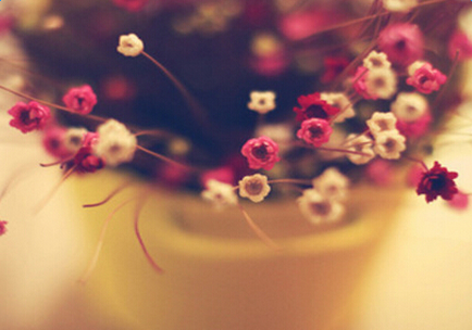 ����̰�ĵ�����С����