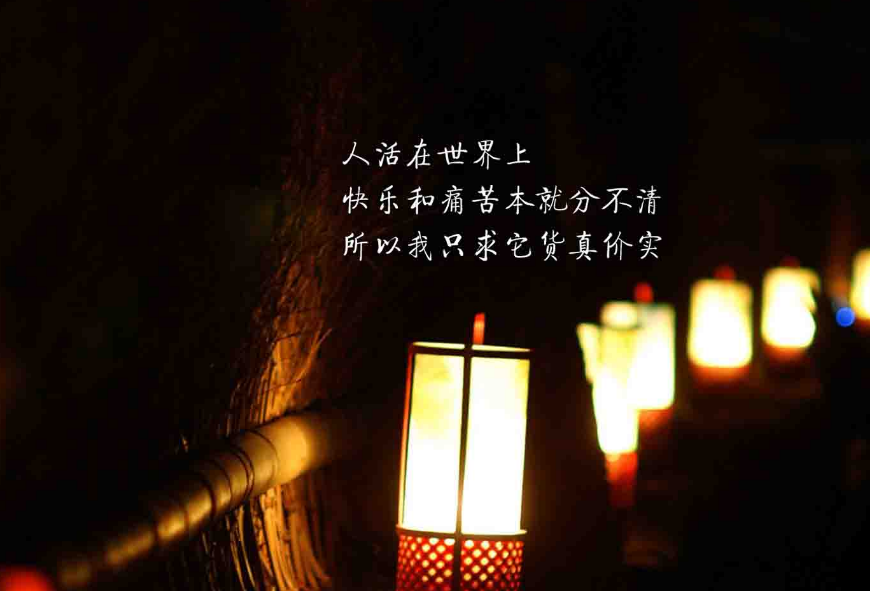 ��̵���־˵˵����