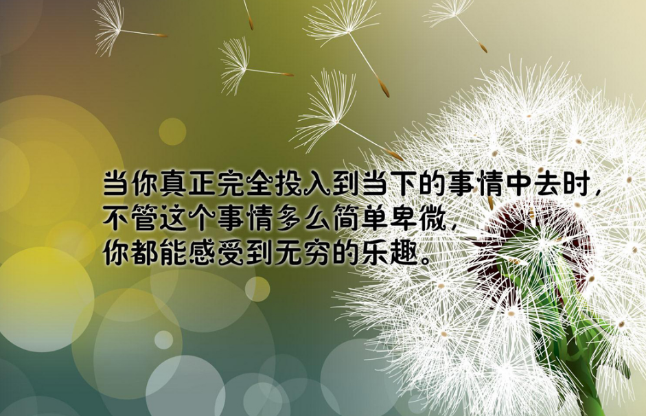 ��̵���־˵˵����