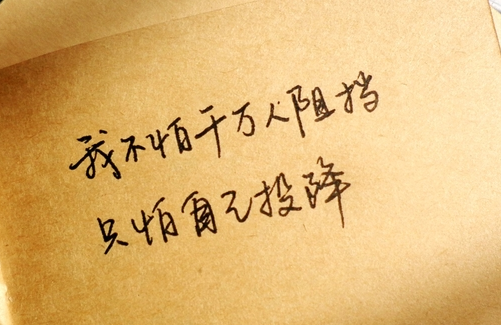 ��̵���־˵˵����