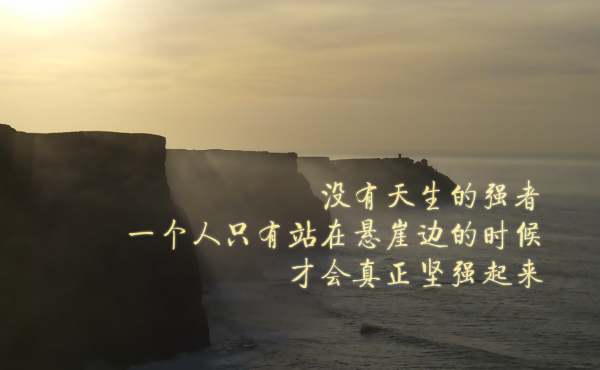 ��̵���־˵˵����