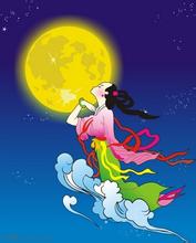 ����ڵ����׹���