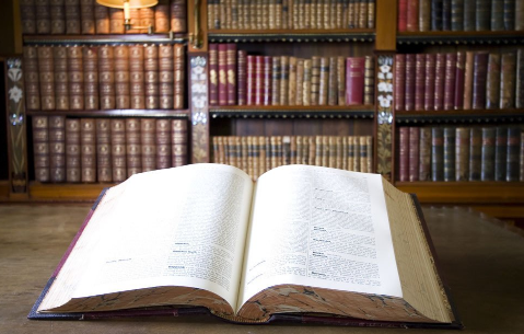 ���˶����С����