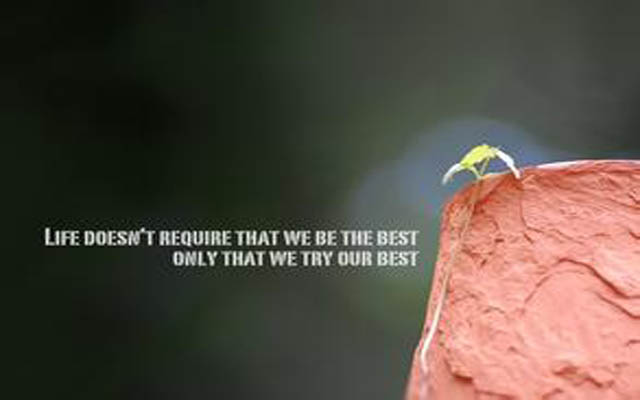 ����������־����