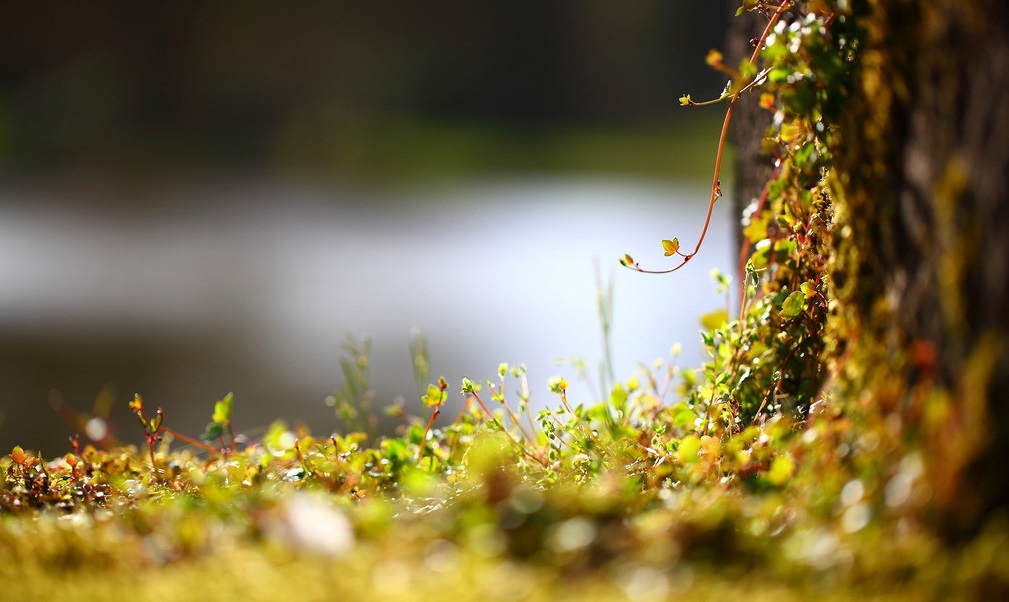 ����ռ�˵˵