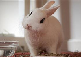 �˸ж���˵˵��ȫ