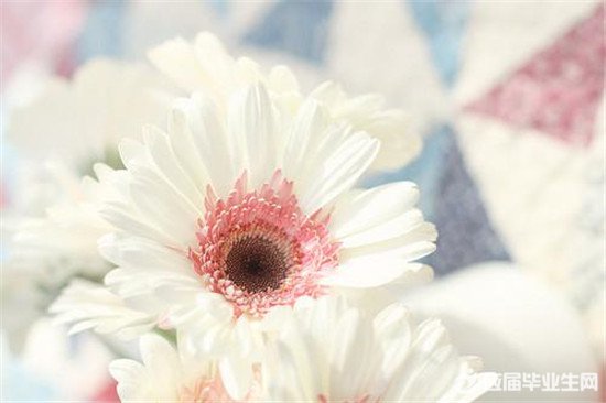 2017������־����ǩ��