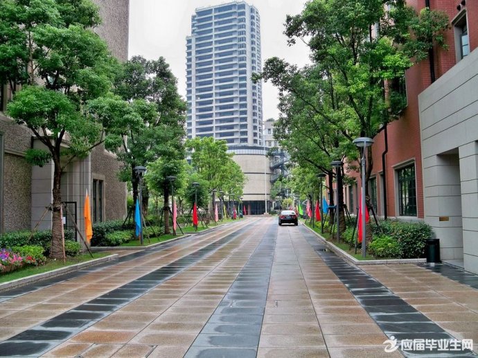 �ж�ĸУʫ������