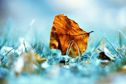 ����˵˵�������