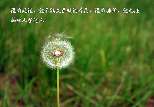 2017�������Ը���ǩ��