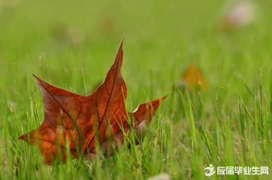 2017�������Ը���ǩ��