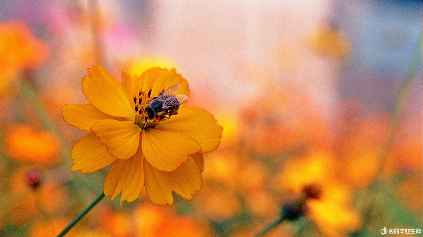 ΢����־С���¸���