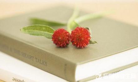 ��ֵĽ������ʲô��