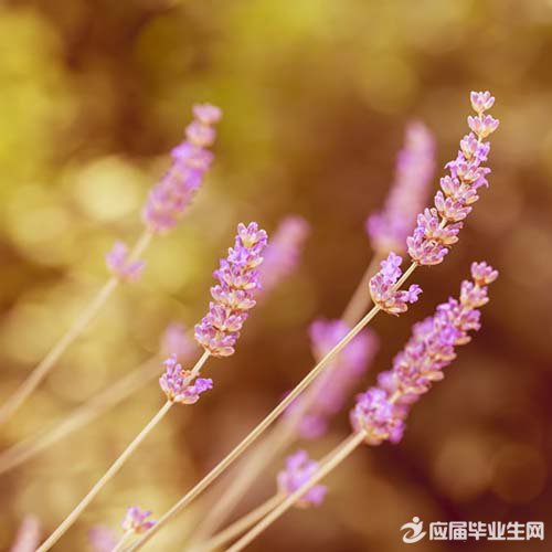 ����������˵˵