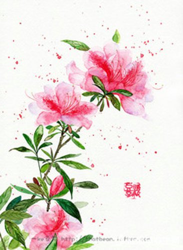 ��д�����绨�ĸ���˵˵