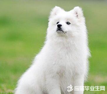 ���ڹ��ĳ��Ｐ�����