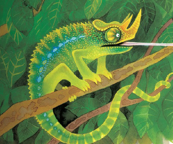 Ϳ�ں�ı�ɫ���Ĺ���