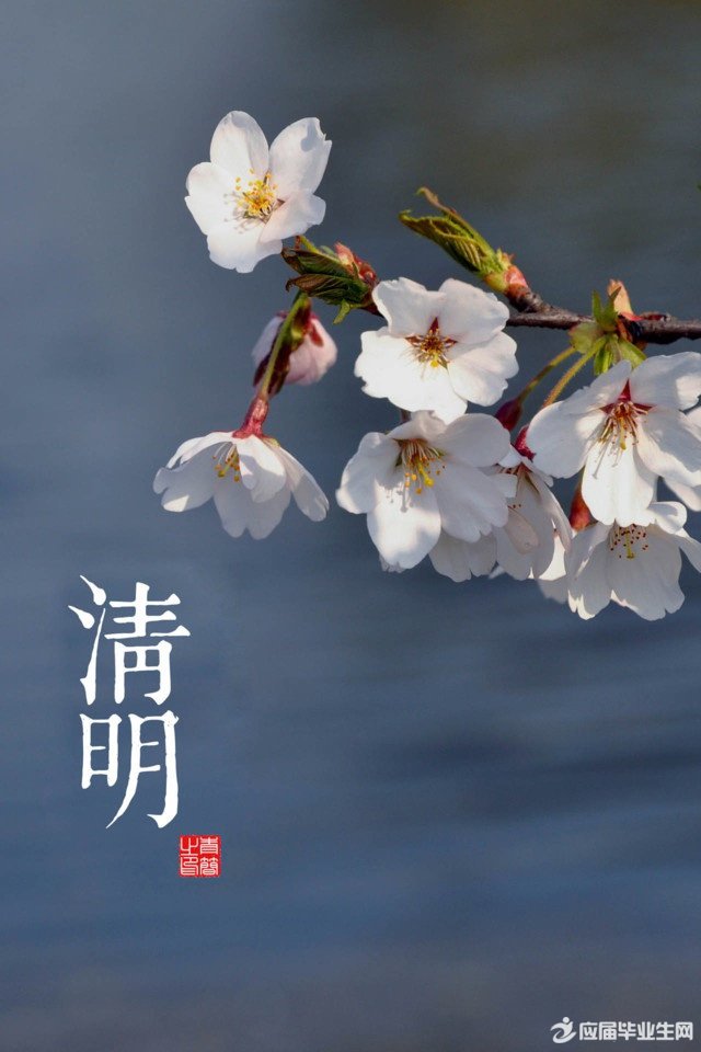 关于清明节的朗读诗歌