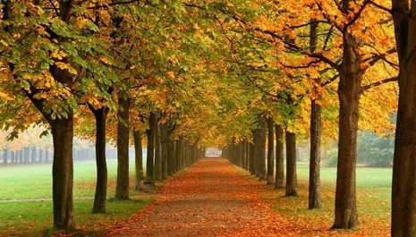 ����ĳ���