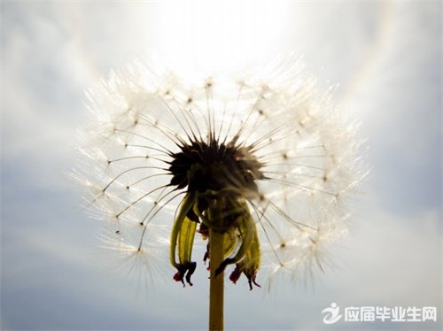 ���ܵ�����˵˵��ȫ