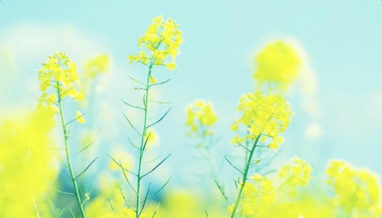 �ִ�����ʫ������