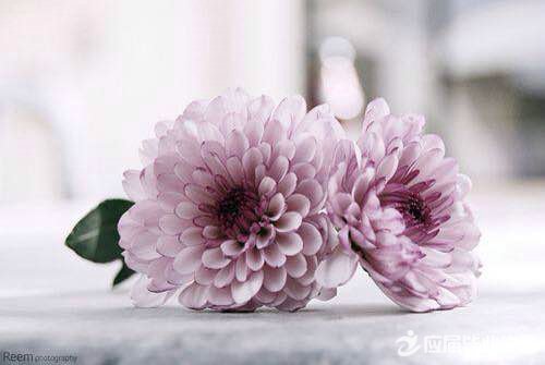 �й�����ľ���˵˵��ȫ