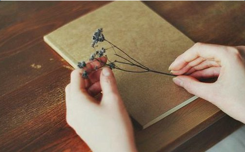 ��������˵˵