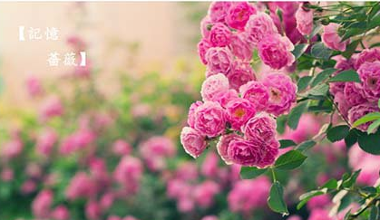 ������־�����Ĺ���