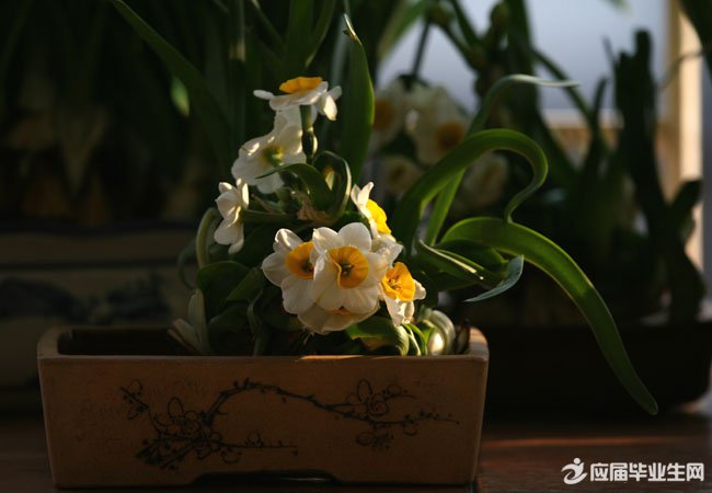 ÐÎÈݲÅÄܵijÉÓï ÐÎÈݲÅÄܵijÉÓï