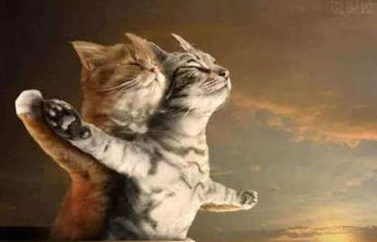 ��Ц�ں�˵˵