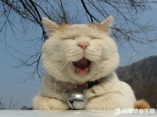 ��ѡ˵˵��Ĭ��¼��ȫ