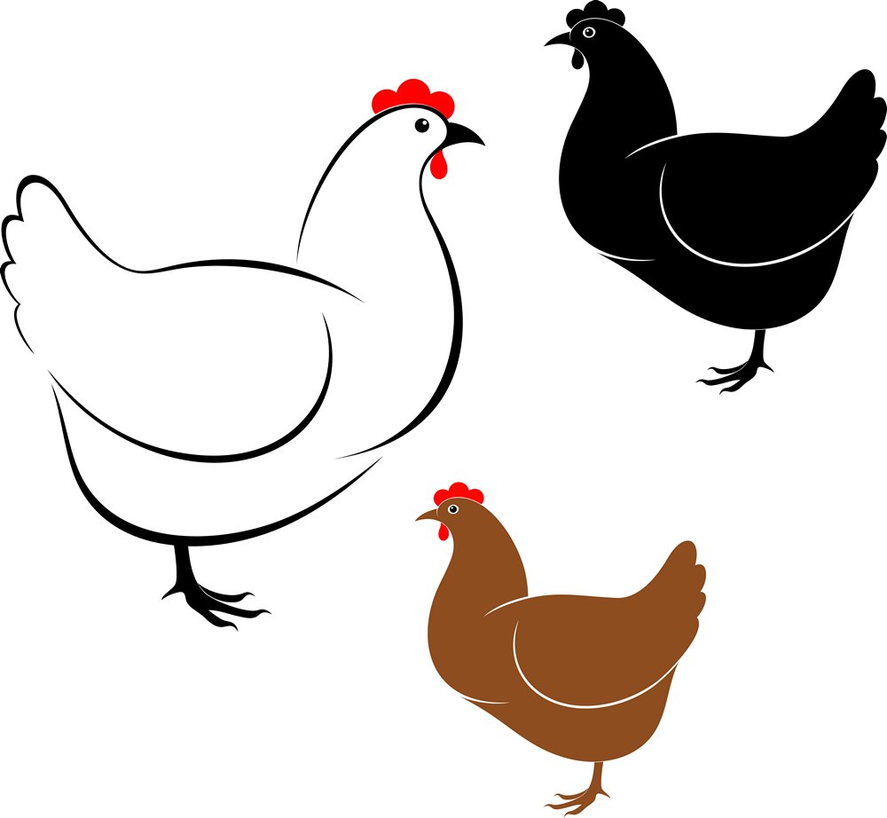 �뼦�йص�Ъ����