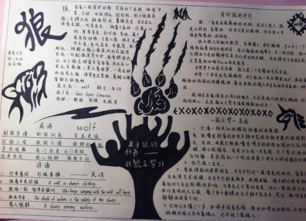 �����ǵ��ֳ�������