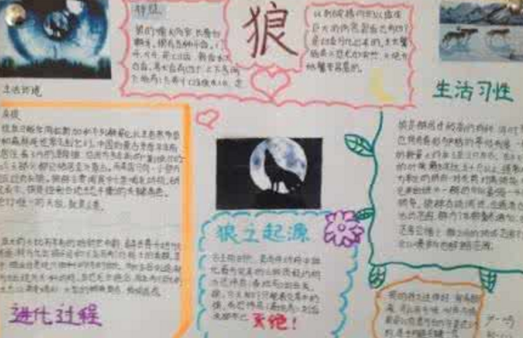 �����ǵ��ֳ�������