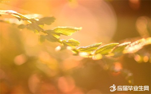 人生说说感悟配图