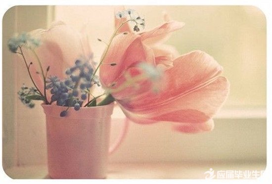 д����֮����ɢ��