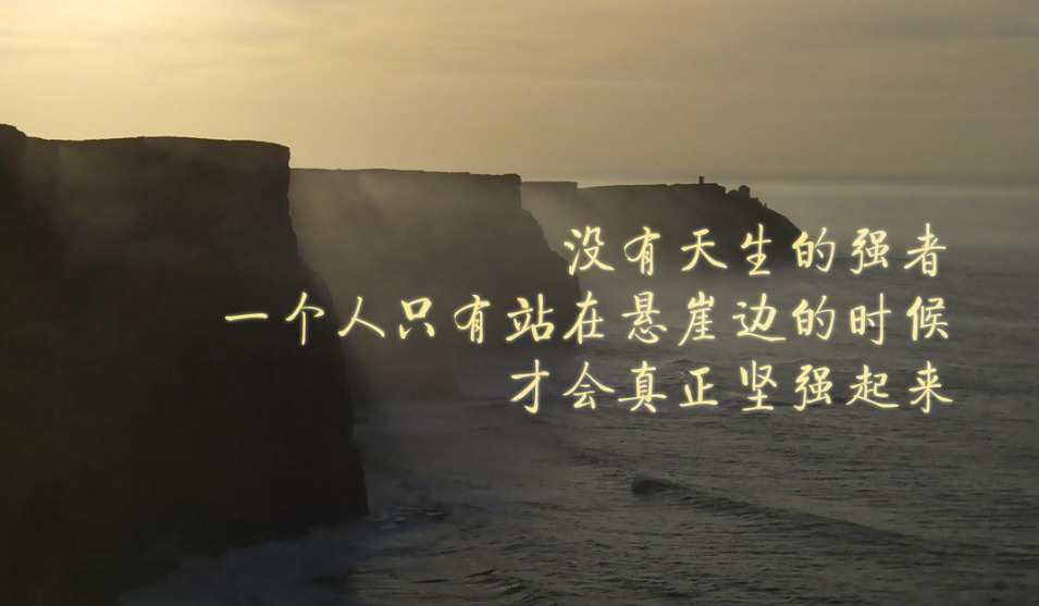 ��ѡ�����Լ�����־˵˵