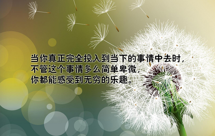 ��ѡ�����Լ�����־˵˵