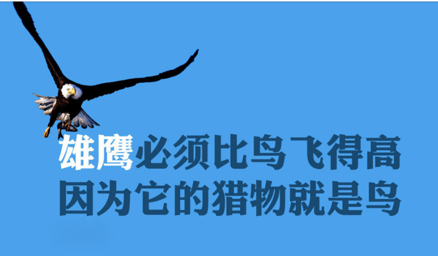 ��ѡ�����Լ�����־˵˵