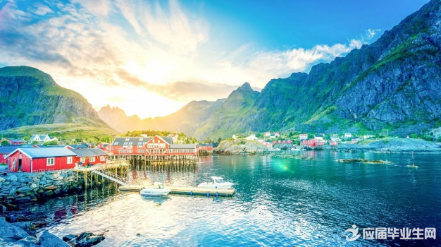 ����д��״��ɢ��800��