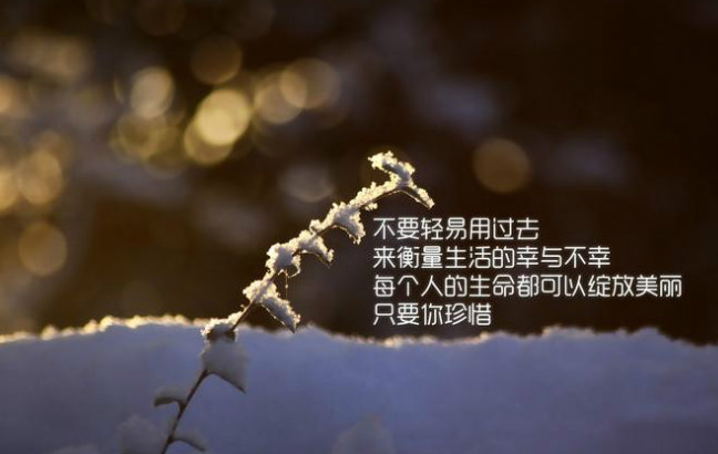 �������ϵ���־˵˵